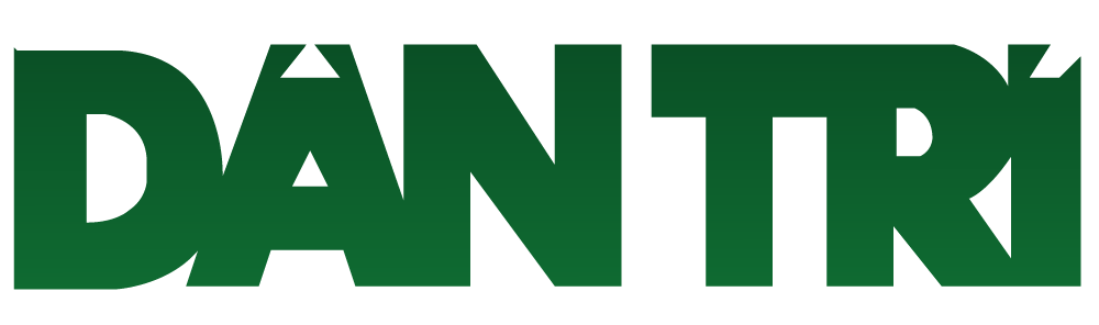 Dan Tri Logo