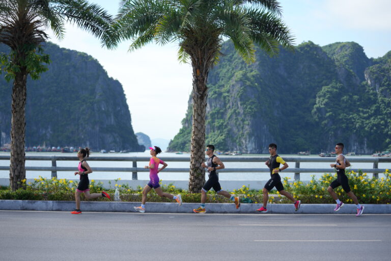 Giải Aqua Warriors Hạ Long