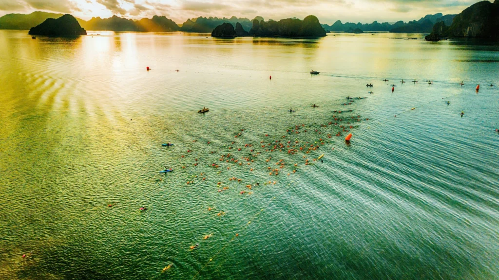 Aqua Warriors Vân Đồn 2025: Hơn 1.500 vận động viên đăng ký vé siêu sớm Super Early Bird