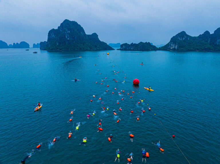 Giải Aqua Warriors Hạ Long